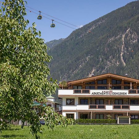 Apartments Edenlehen Майерхофен Екстериор снимка